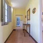 Italian Experience- La Pagliarina